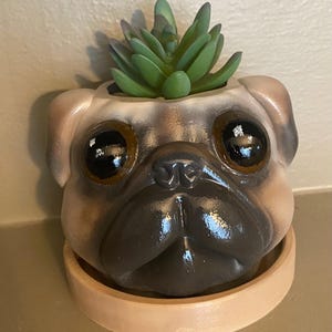 Puede incluir: Un macetero de cerámica con forma de carlino con una planta suculenta en su interior. El macetero está pintado en tonos marrones y beige, con grandes ojos negros. La planta suculenta es verde y tiene forma de roseta.