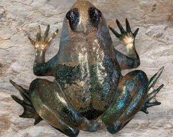 Resin Frogs