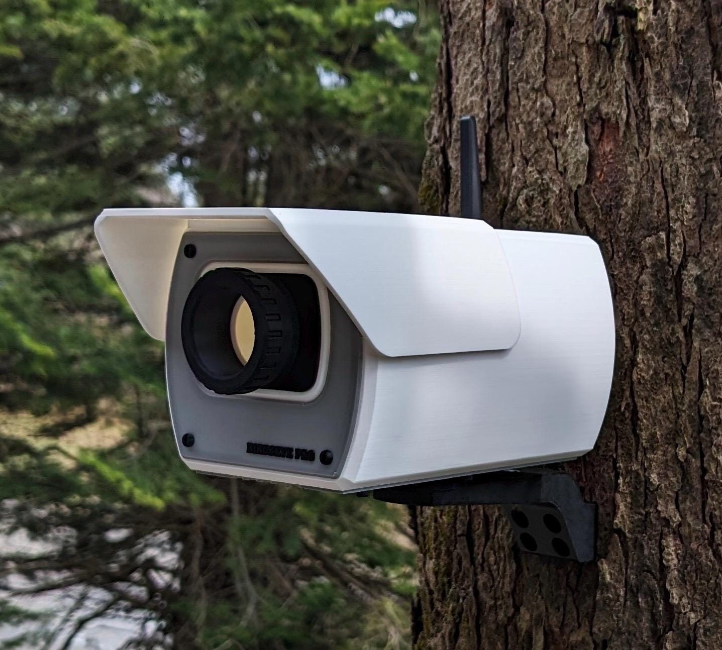 Security Camera Birdhouse – Funny Surveillance Camera Bird House ...