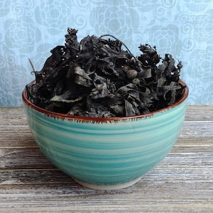 Wildcrafted Whole Leaf Bladderwrack Sea Vegetable