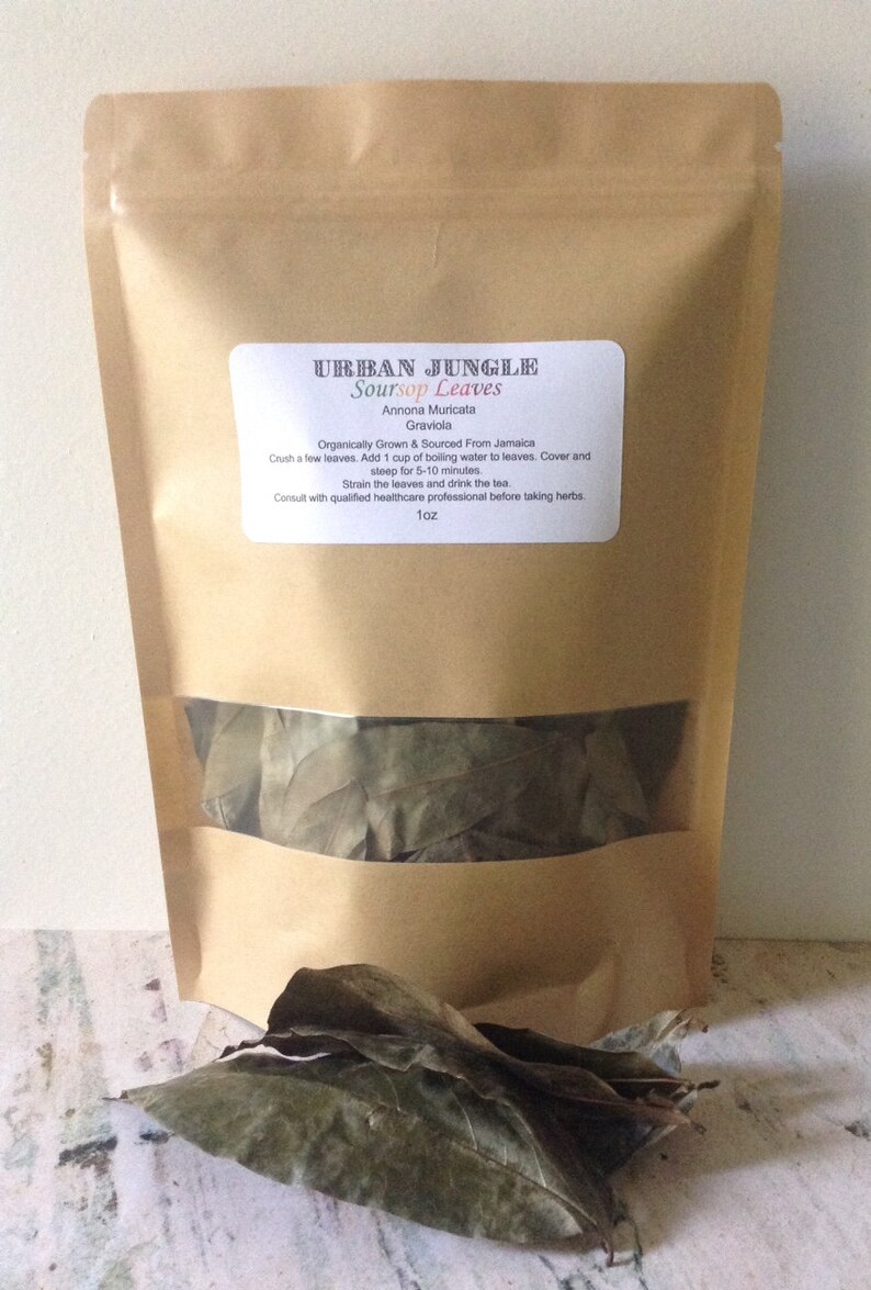 Jamaican Soursop Leaves Natural Herbal Supplement Etsy