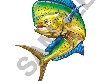 Mahi Mahi Dorado Action Shot Fish Fishing Big Game