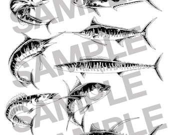 Pelagic Fish Lot Mahi Mahi Wahoo Marlin Tuna Ahi Ono Fishing