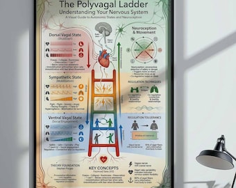 Polyvagal Ladder Nervous System Poster | Mental Health Wall Art | Therapy Office Decor | Vagus Nerve Infographic Print | Framed Canvas