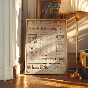 Op de afbeelding: Een goudomrand poster met de titel "The Feline Phylogenetic Tree" met gedetailleerde illustraties van verschillende kattensoorten, anatomische diagrammen en een wereldkaart. De poster wordt getoond in een kamer met een warme, uitnodigende sfeer.