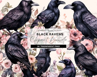 May include: A digital collection of black raven illustrations arranged among soft pink floral elements. The central text reads COMMERCIAL USE CLIPART BLACK RAVENS Clipart Bundle 24 TRASNPARENT PNGS. The ravens feature detailed dark plumage.