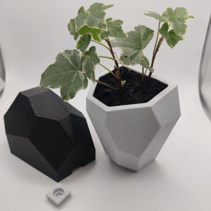 Puede incluir: Un macetero geométrico blanco con una planta verde y blanca variegada. El macetero está hecho de un material texturizado y tiene un diseño único y moderno.
