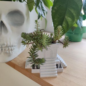 Peut inclure: Un pot en céramique blanche en forme de miniature de bâtiment avec des marches et une arche. Le pot est rempli de succulentes vertes.