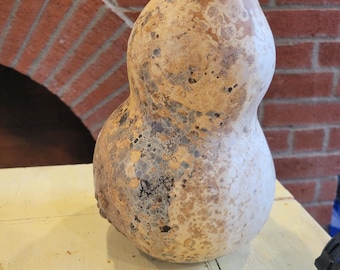Calabash Gourd 6-7" - Unique Shape