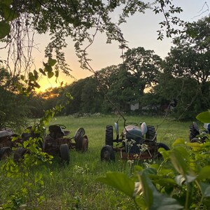 Blissful Old Farm