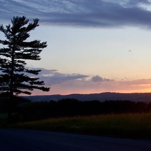 May include: A silhouette of a pine tree against a colorful sunset sky. The sky is a mix of pink, orange, and purple hues. The tree is in the foreground, and the horizon is in the background.