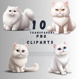 白いペルシャ猫のクリップアート：子供部屋の装飾PNG（デジタルダウンロード）