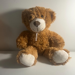 May include: A brown teddy bear with a white muzzle and foot pads. The plush toy has a stitched smile and a small, clear plastic mask secured with a white string. The bear is sitting upright.
