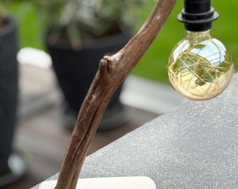 Puede incluir: Una lámpara de mesa hecha de una rama natural con una base de hormigón blanco. La lámpara tiene un cable negro y una bombilla de vidrio transparente con un filamento.