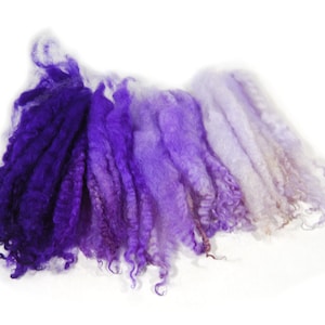 Border Leicester Violet Ombre Lamb Locks - 1-1/4 ounces