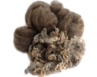 Shetland Black Roving with Border Leicester Curls - 5 ounces