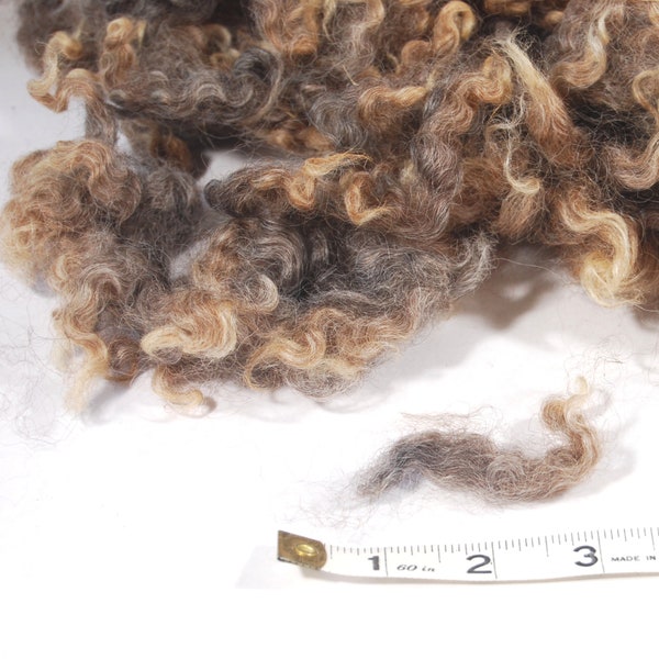 Bluefaced Leicester Natural Brown Grey Curls - 1 ounce