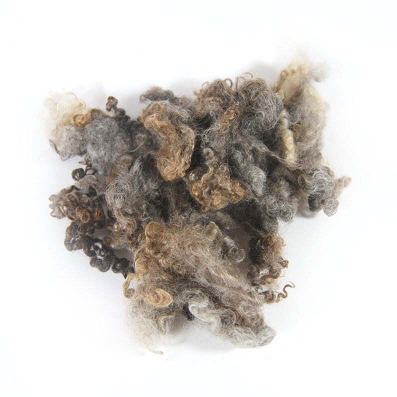 Cotswold curls Furnace Red Rooster Feathers 5 ounces Black Shetland Roving and Silver Beads