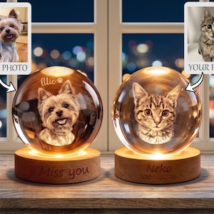 Può includere: Due ornamenti sferici in vetro su basi circolari in legno. La sfera sinistra presenta un ritratto di cane inciso con il nome "Ellic" e un'impronta di zampa, mentre quella destra mostra un ritratto di gatto con il testo "Neko 2009-2026".