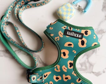 Dog Harness & Leash Set – No-Pull, Adjustable, Comfy | Cute Harness for Small and Medium Dogs | Neoprene Leash and Harness