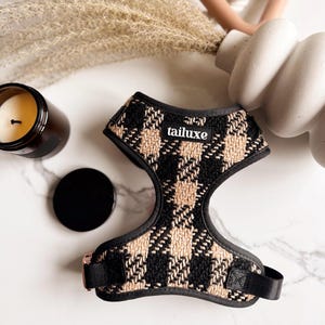 Könnte beinhalten: Ein schwarzes und braunes kariertes Hundegeschirr mit dem Wort "tailuxe" auf der Vorderseite.