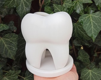 Maceta para dientes: regalo para dentistas, maceta para suculentas, PLA impreso en 3D, decoración de escritorio