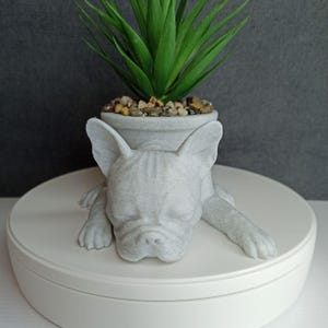 Può includere: Un vaso da fiori in ceramica grigia a forma di bulldog francese addormentato. Il vaso ha una piccola pianta grassa che cresce al suo interno.
