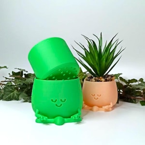 Peut inclure: Deux pots en céramique verts et orange avec un visage de dessin animé mignon et des bras. Le pot vert est un modèle en deux parties avec un dessus amovible. Le pot orange contient une plante succulente.