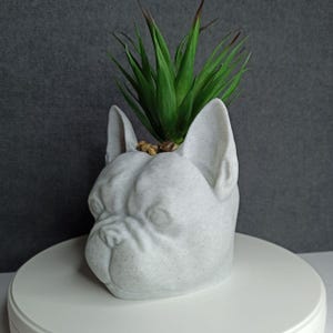 Op de afbeelding: Een witte, gespikkelde plantenbak in de vorm van een Franse Bulldog-kop, met een groene vetplant. De plant heeft lange, puntige bladeren en is beplant met kleine bruine kiezelstenen. De plantenbak staat op een wit oppervlak.