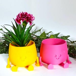 Planter Happy Face Missis. Unique Home & Garden Decor. Gift for Plant Lovers