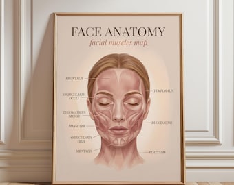 Face Muscle Anatomy Print: Spa and Clinic Wall Art (Multiple Sizes)