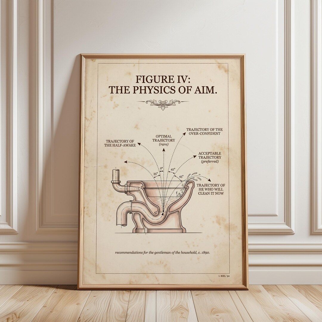 Vintage Toilet Physics Diagram Print, Funny Bathroom Wall Art ...