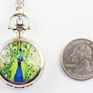 May include: Silver pocket watch with a chain, featuring a peacock with green and blue feathers on the face.