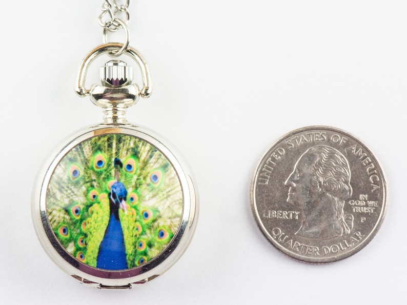 May include: Silver pocket watch with a chain, featuring a peacock with green and blue feathers on the face.