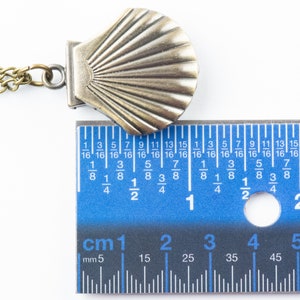 May include: A brass seashell pendant necklace with a chain, measured against a ruler. The seashell is approximately 3.8 cm wide.