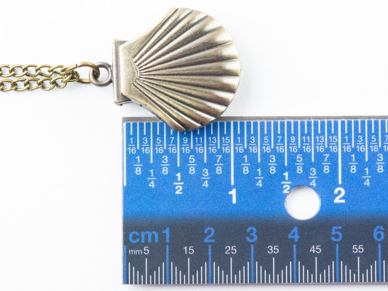May include: A brass seashell pendant necklace with a chain, measured against a ruler. The seashell is approximately 3.8 cm wide.