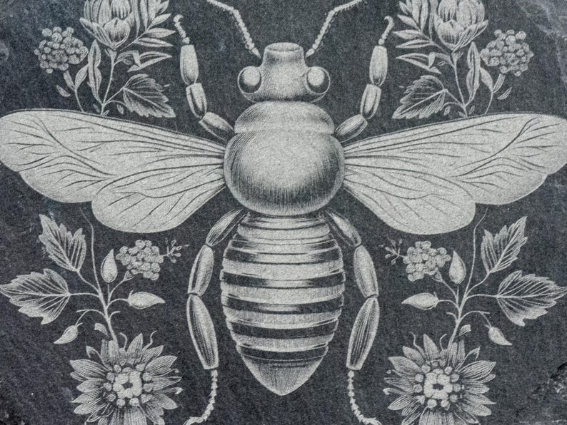 Op de afbeelding: Een zwart-witte illustratie van een bij met gedetailleerde vleugels en een gestreept lichaam. De bij is omringd door bloemmotieven.