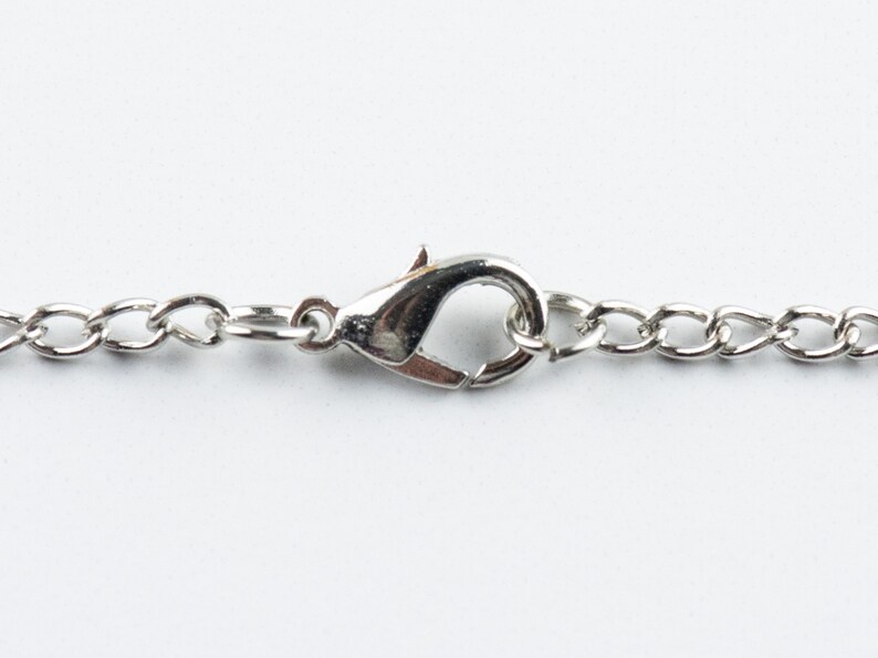 May include: A silver chain necklace with a lobster clasp closure.