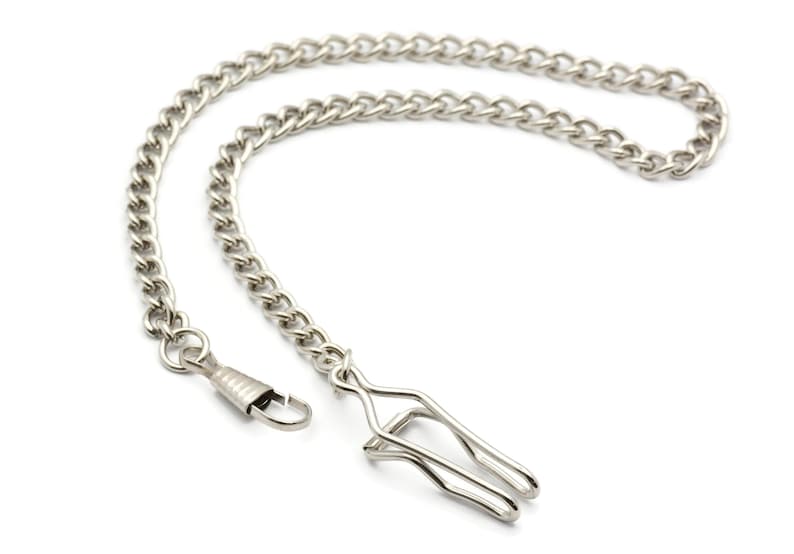 May include: A silver pocket watch chain with a hook clasp and a spring ring.