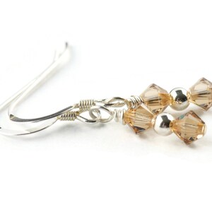 May include: Silver dangle earrings with brown crystal beads and silver beads.