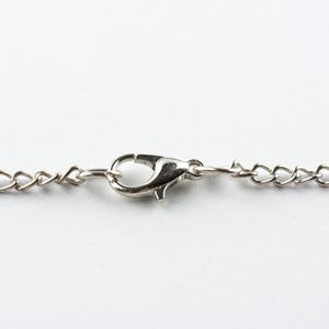 May include: A silver chain necklace with a lobster clasp closure.