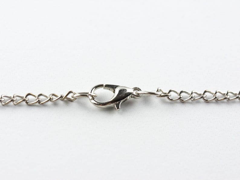 May include: A silver chain necklace with a lobster clasp closure.