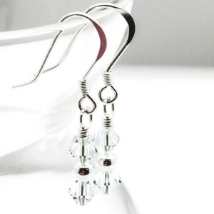 December Light Azore Swarovski Crystal Birth Month Sterling Silver Drop Earrings hanging on vase