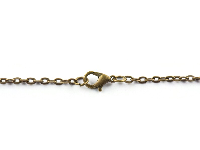 May include: A gold-toned chain with a lobster clasp closure.