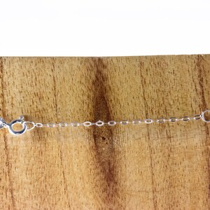 Pu&ograve; includere: Una collana a catena d'argento con chiusura a moschettone. La catena &egrave; composta da piccoli anelli ovali.
