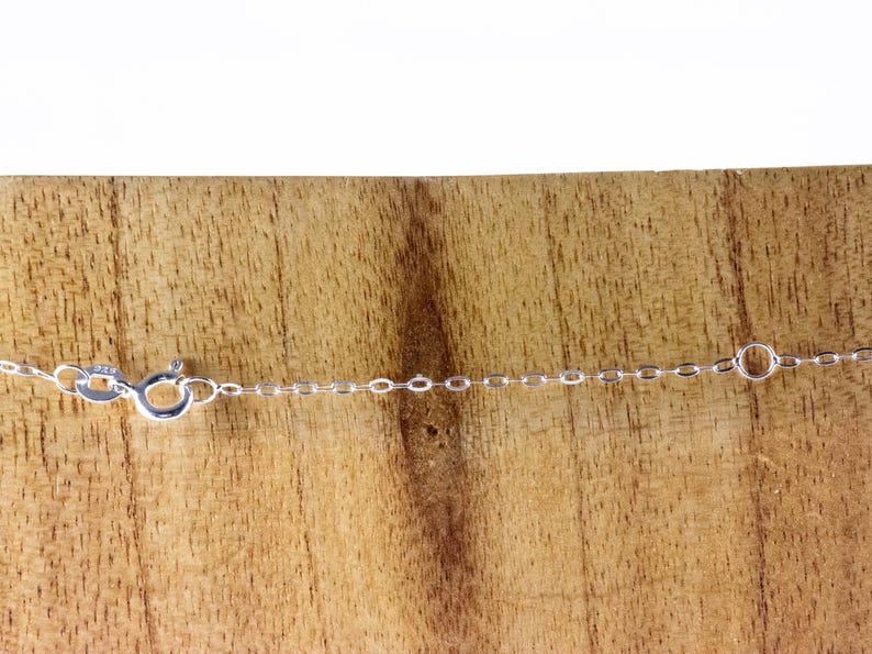 Pu&ograve; includere: Una collana a catena d'argento con chiusura a moschettone. La catena &egrave; composta da piccoli anelli ovali.