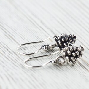 May include: A pair of silver earrings with a pine cone design. The earrings are dangle style with a small silver bead at the top of the hook.