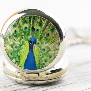 May include: A silver locket necklace featuring a round, colourful image of a peacock with its feathers spread out.