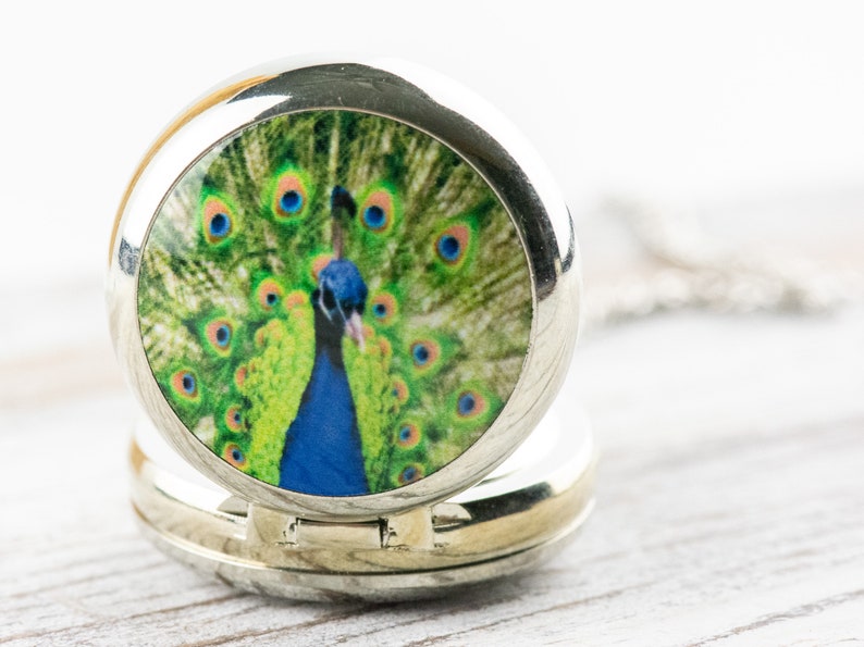 May include: A silver locket necklace featuring a round, colourful image of a peacock with its feathers spread out.