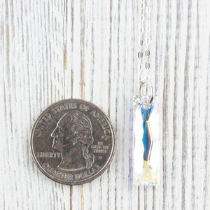 Pu&ograve; includere: Una collana con catena d'argento con un ciondolo di cristallo trasparente. Il ciondolo &egrave; rettangolare e presenta un design sfaccettato. La collana &egrave; mostrata accanto a un quarto di dollaro americano per riferimento alle dimensioni.